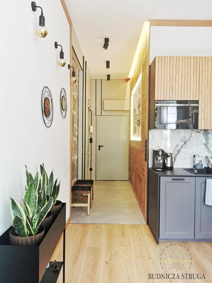 Budnicza Struga Z Sauna I Parkingiem - 5d